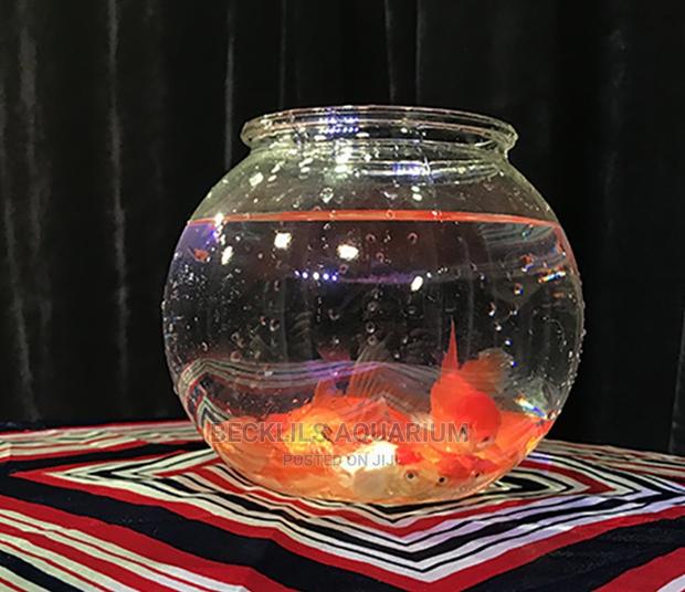 Glass Bowls With Fish