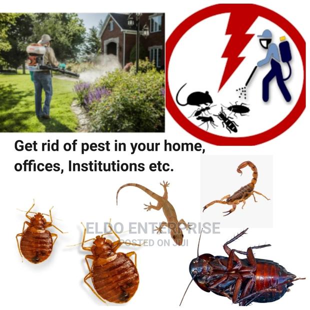 Environmental and Industrial Pest Control · Photo 2