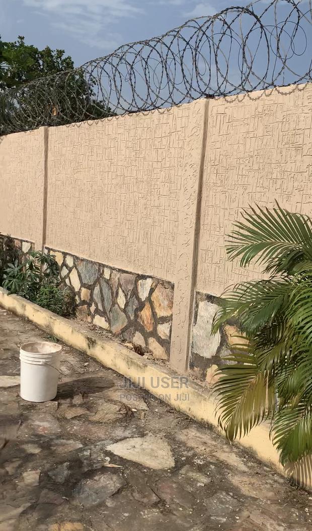 Affordable Grafiato Paint