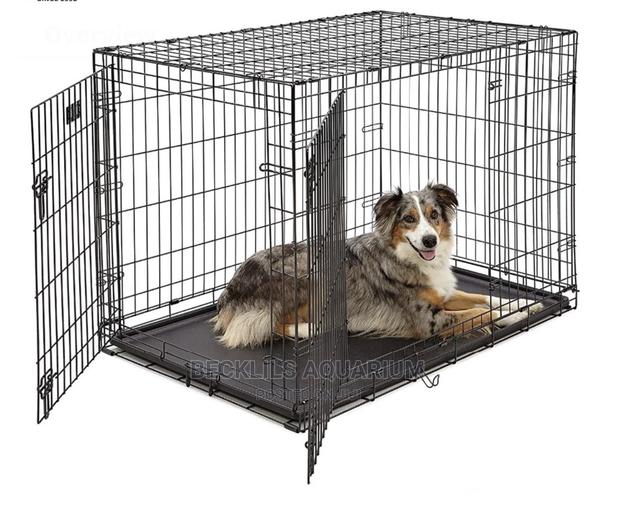 Large Quality Metallic Cage · Photo 4