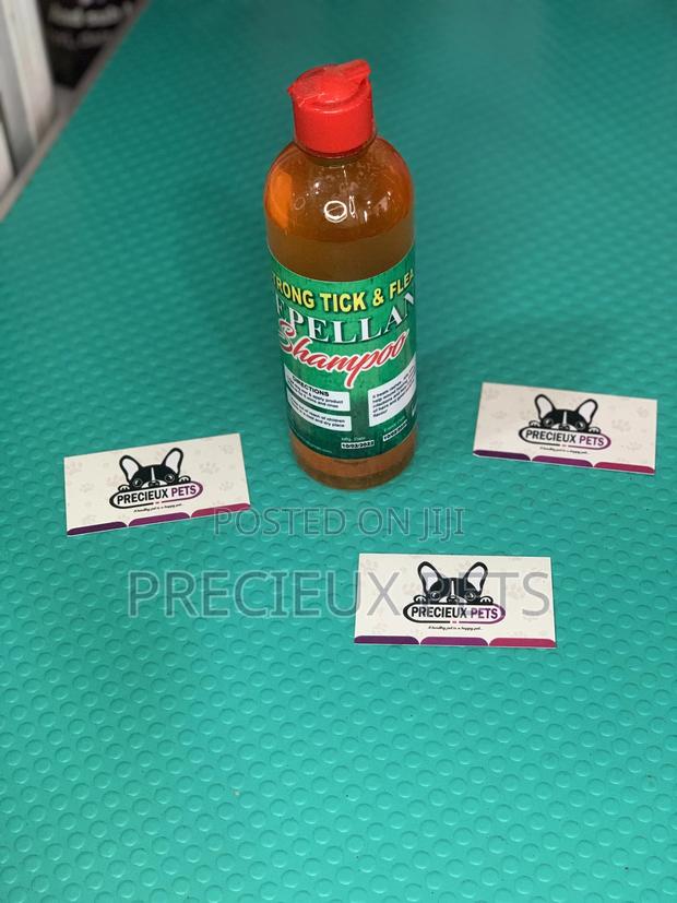 500ml Strong Ticks and Fleas Shampoo · Photo 3