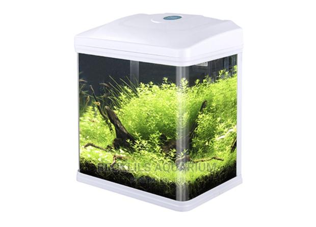 Quality Mini Aquariums · Photo 4