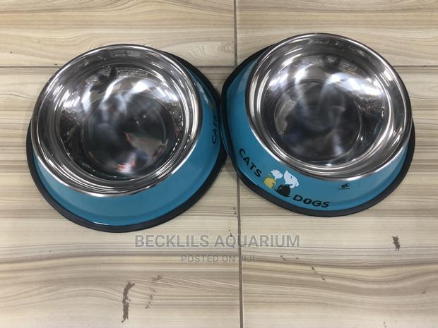Bowls for Dogs and Cat · Photo 3