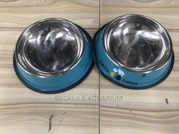 Bowls for Dogs and Cat · Photo 4