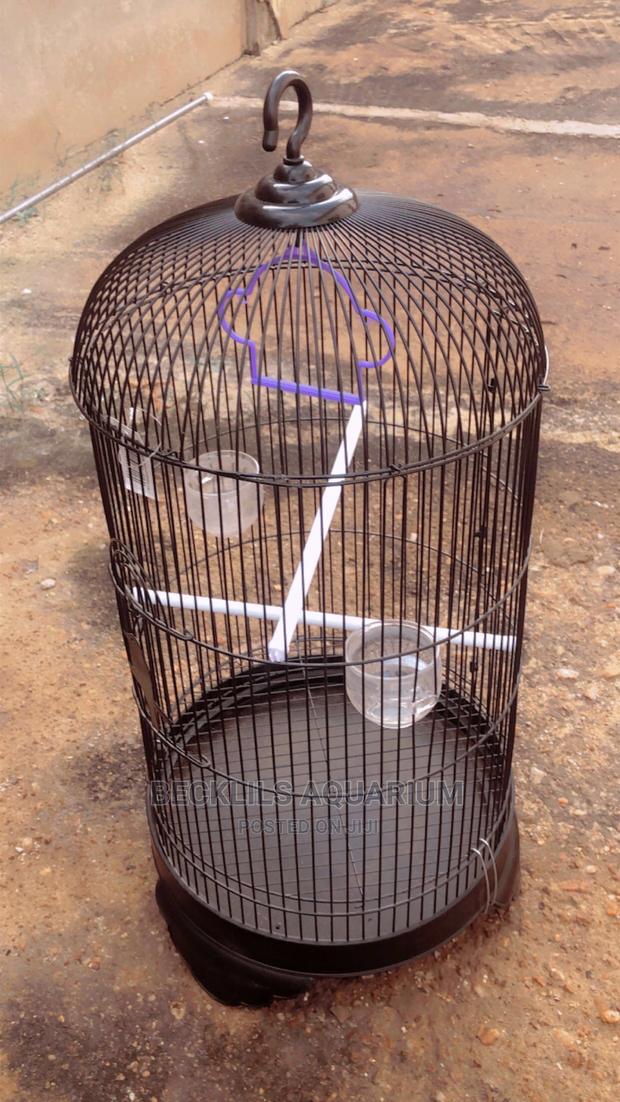 Round Parrot Cages · Photo 3