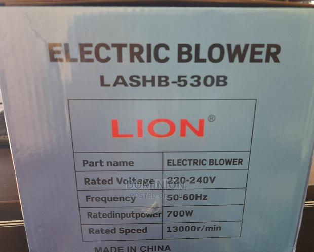 Electric Blower Professional Lashb-530b 700W Lion · Photo 4