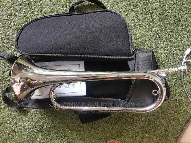 Bugle (Titanic Silver) · Photo 4