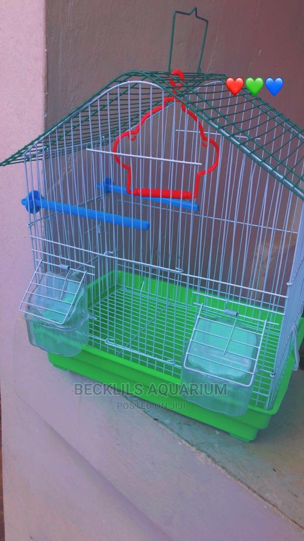 Quality Birdcage for Birds · Photo 3