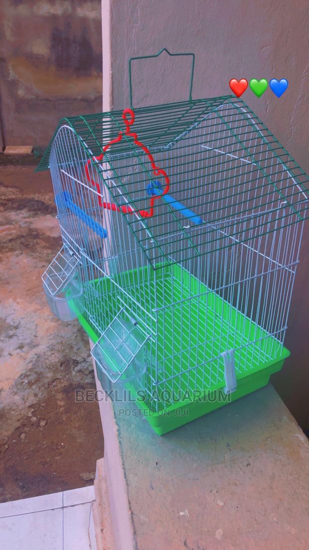 Quality Birdcage for Birds · Photo 4