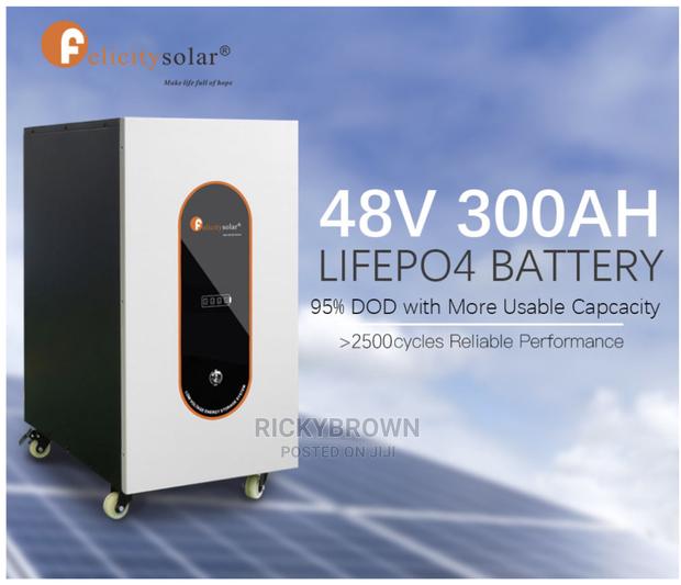 48v 300ah (15 Kwh) Felicity Lithium Ion Batteries photo 2