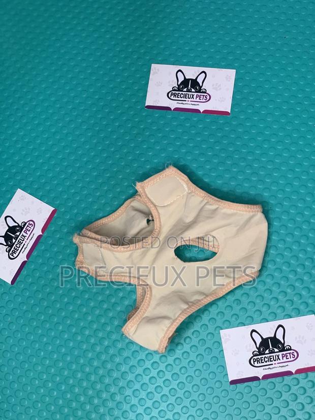 Toy Dog Clothings Series 048 · Photo 3