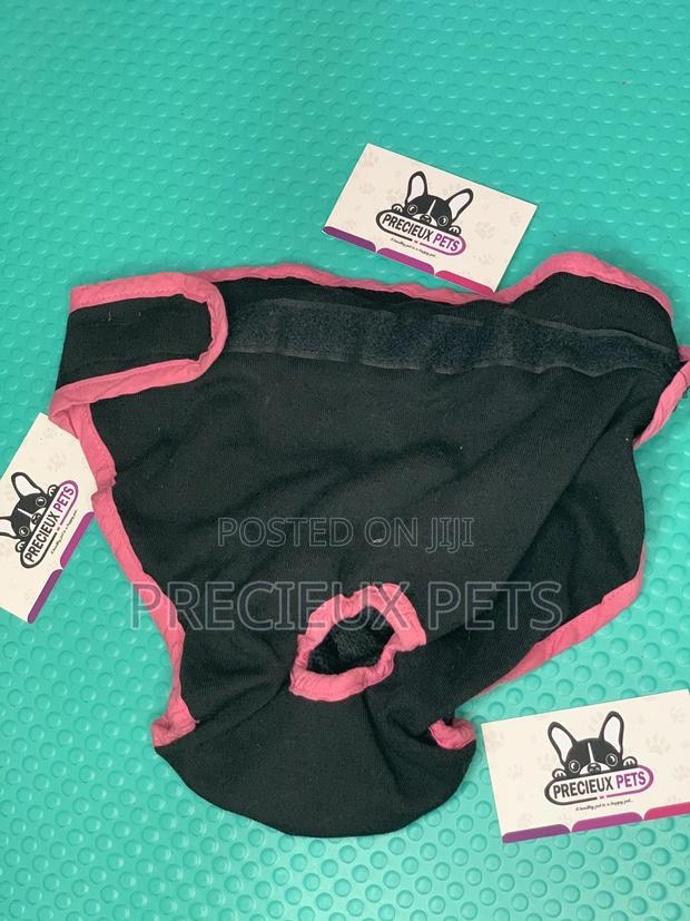 Toy Dog Clothings Series 050 · Photo 3