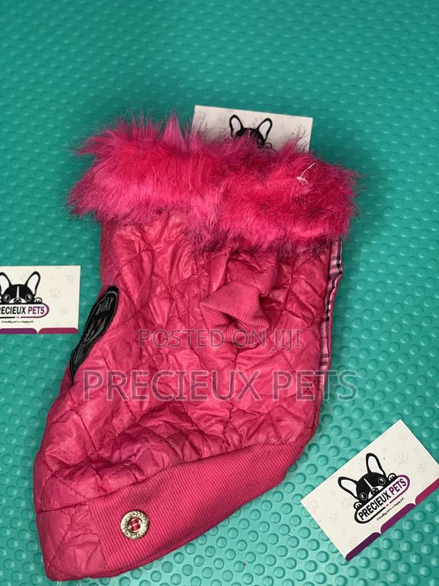 Toy Dog Clothings Series 052 · Photo 4
