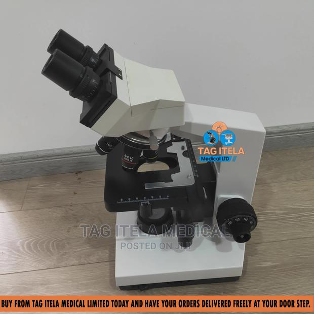 Microscope Olympus (Cha-chb) · Photo 4