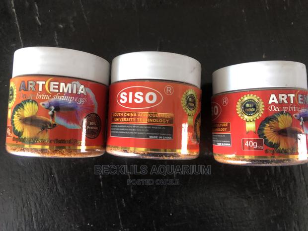 Artemia Fish Feed · Photo 2