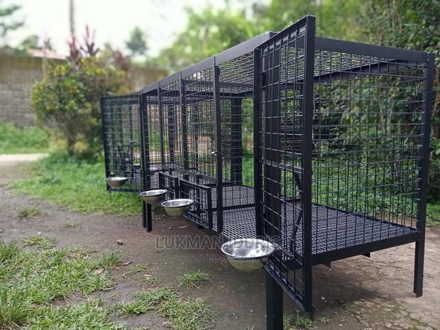 Metal Dog Cage