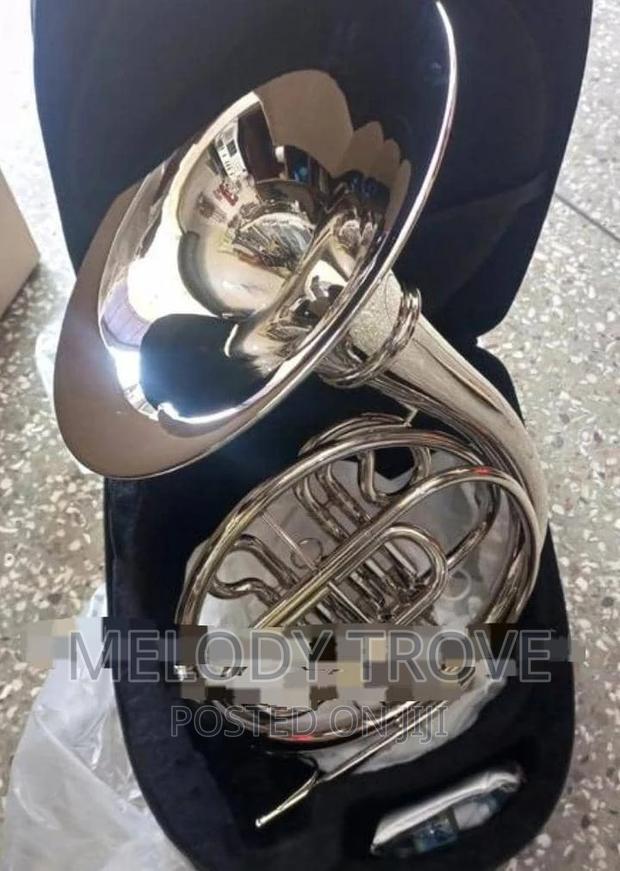 French Horn Silver · Photo 4