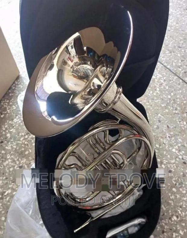 French Horn Silver · Photo 3