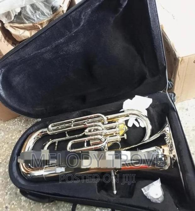 Silver EUPHONIUM · Photo 4