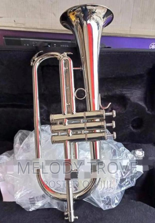 Flugel Horn · Photo 4