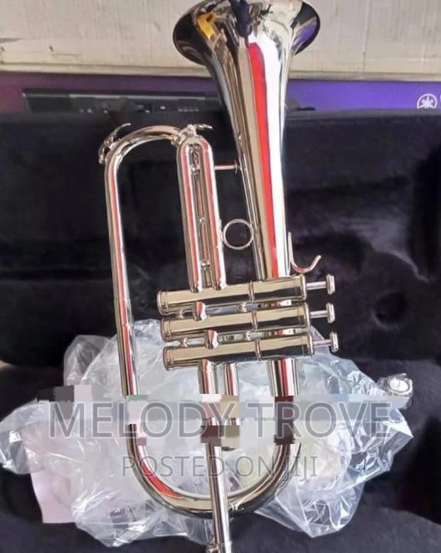 Flugel Horn · Photo 3