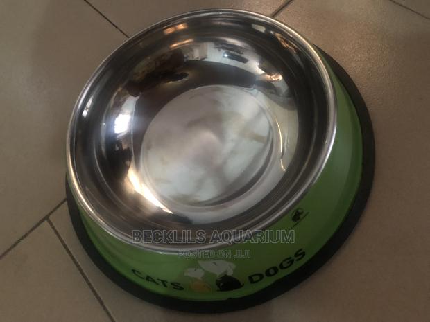 Quality Large Bowls for Dogs and Cat · Photo 3