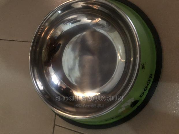 Quality Large Bowls for Dogs and Cat · Photo 4