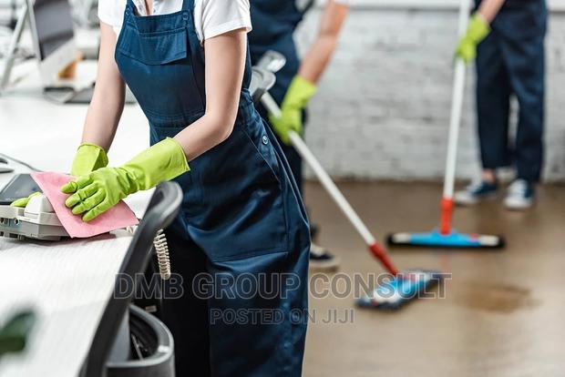 Professional CLEANING · Photo 3