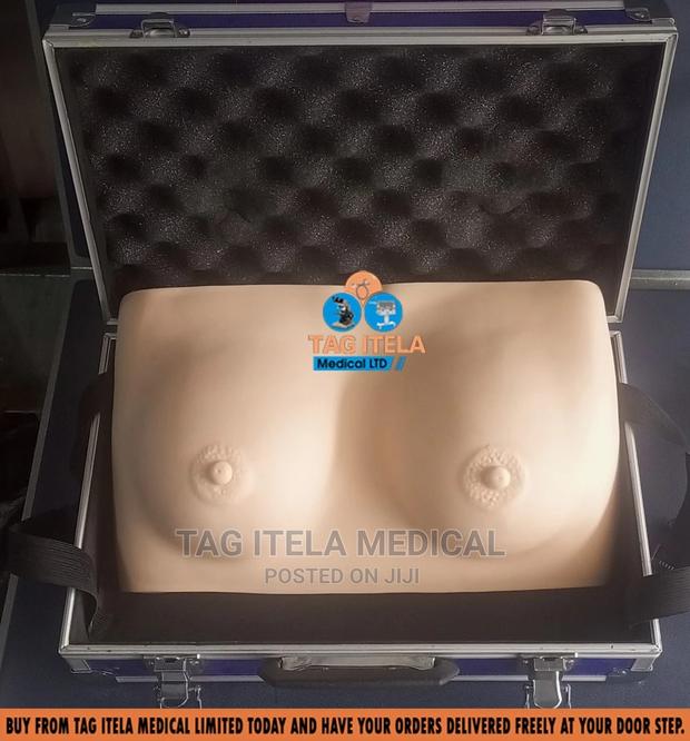 Anatomy Breast Model (Silicon) · Photo 3