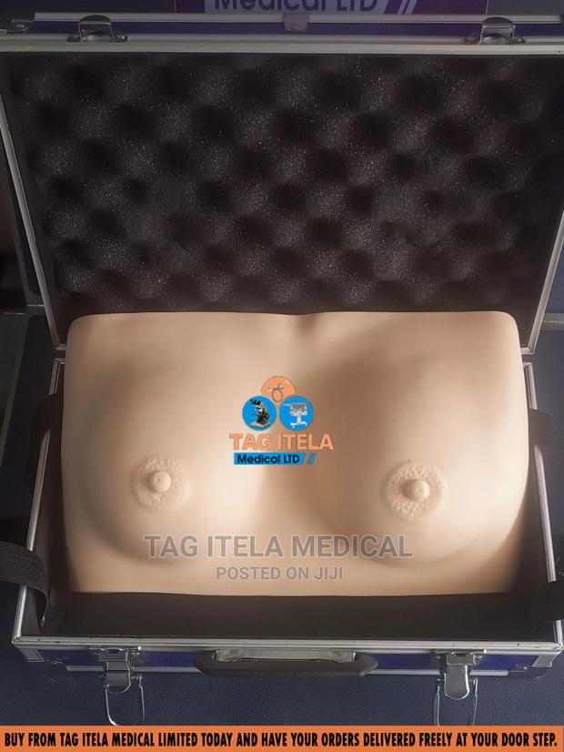 Anatomy Breast Model (Silicon) · Photo 4