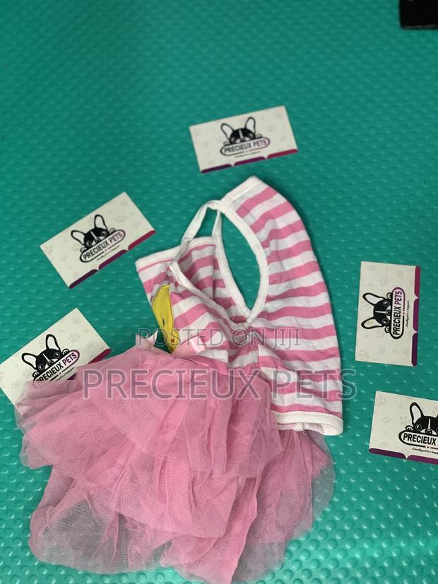 Toy Dog Clothings Series 0055 · Photo 4