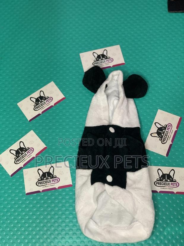 Toy Dog Clothings Series 0056 · Photo 4