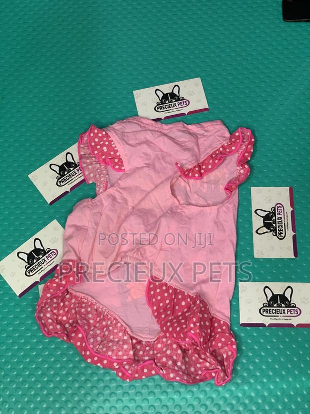 Toy Dog Clothings Series 0062 · Photo 4