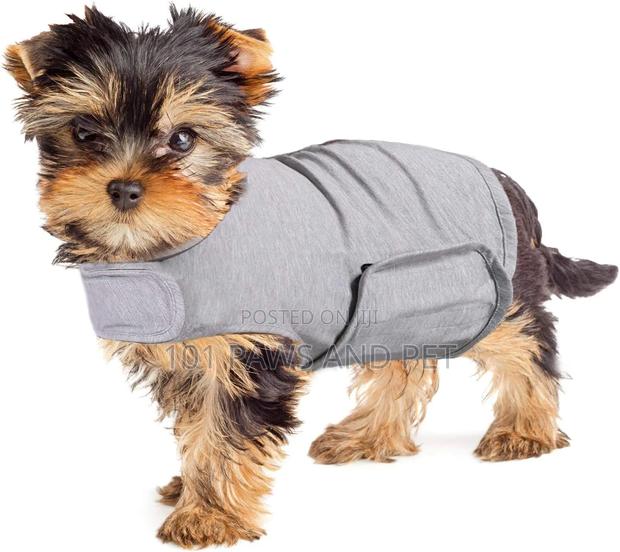 Pet Cuddle Vest · Photo 2