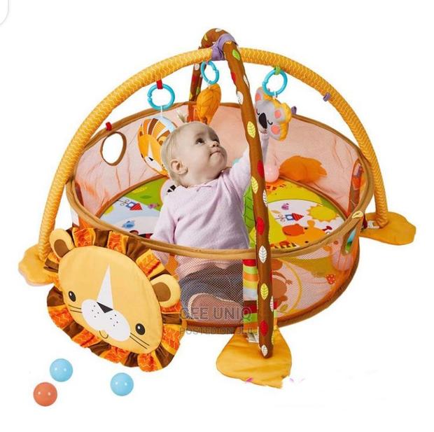 Activity Play Gym · Photo 2