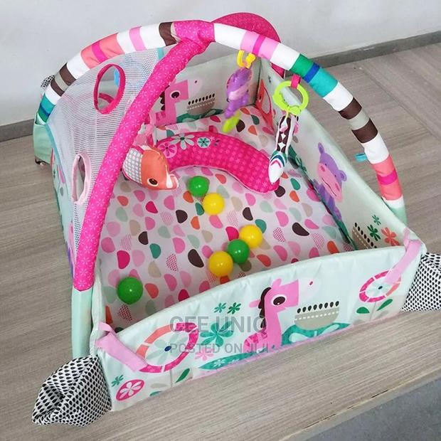 Activity Play Gym · Photo 2