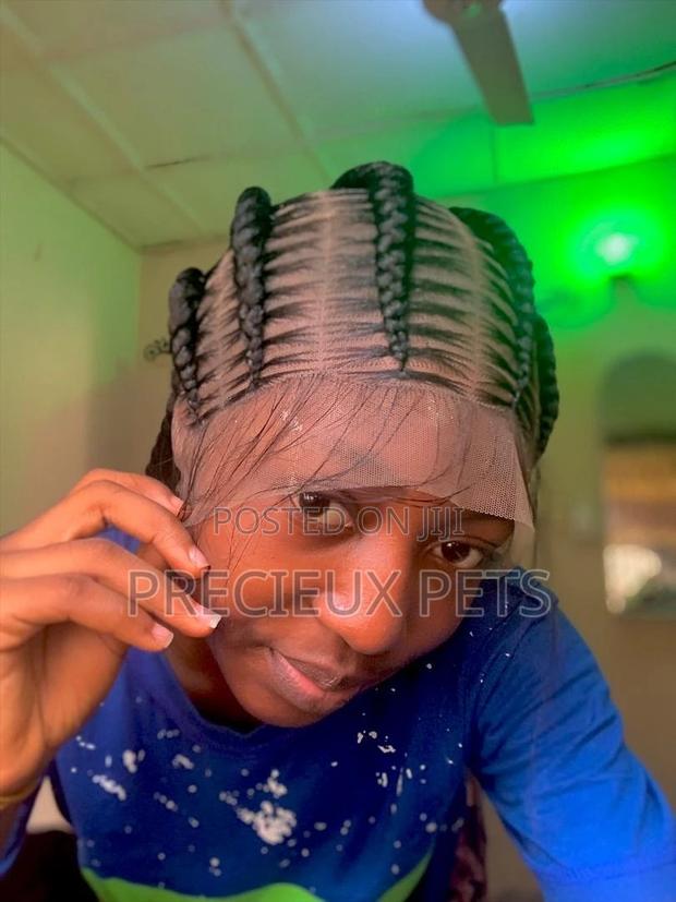 Full Lace Braided Wig · Photo 2