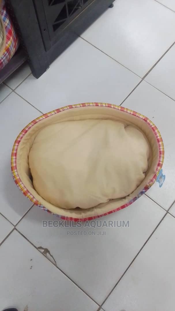 Quality Beds for Dogs · Photo 4