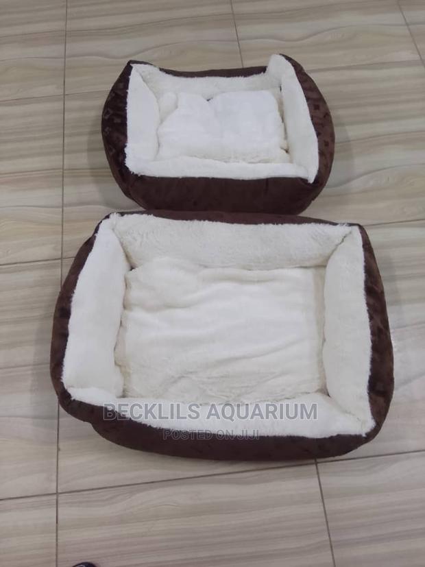 Quality Beds for Dogs · Photo 3