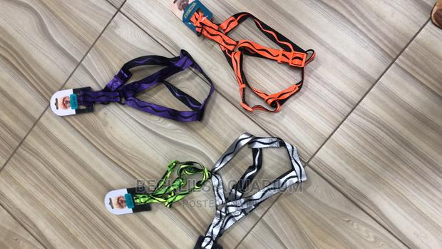 Harness Available for Dogs · Photo 3