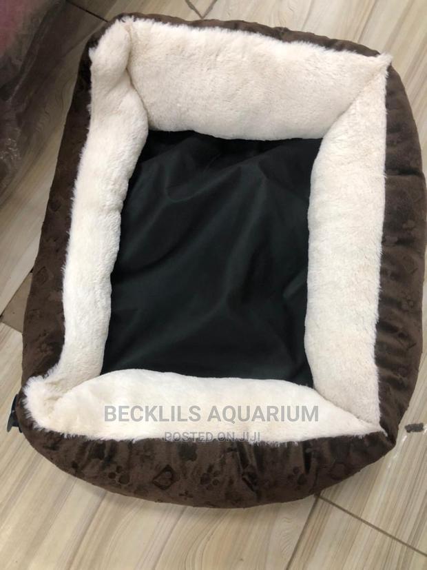 Beds for Small Dogs · Photo 2