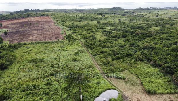 100 Acres of Farm Land Now Selling at Winneba · Photo 2