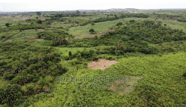 100 Acres of Farm Land Now Selling at Winneba · Photo 3