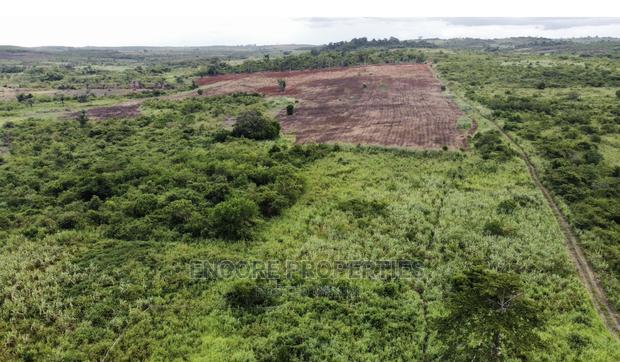 100 Acres of Farm Land Now Selling at Winneba · Photo 1