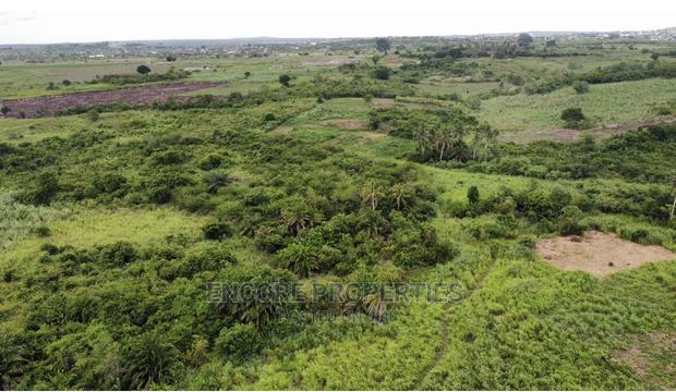 100 Acres of Farm Land Now Selling at Winneba · Photo 4