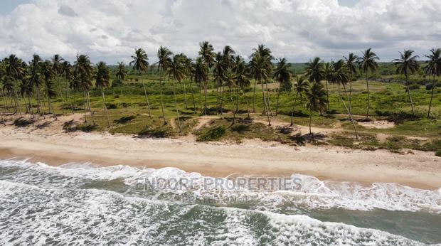 10 Plots of Beach Land Now Selling at Gomoa Fetteh · Photo 3