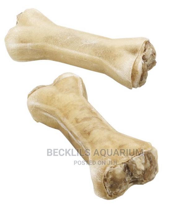 Dog Chewing Bone · Photo 4