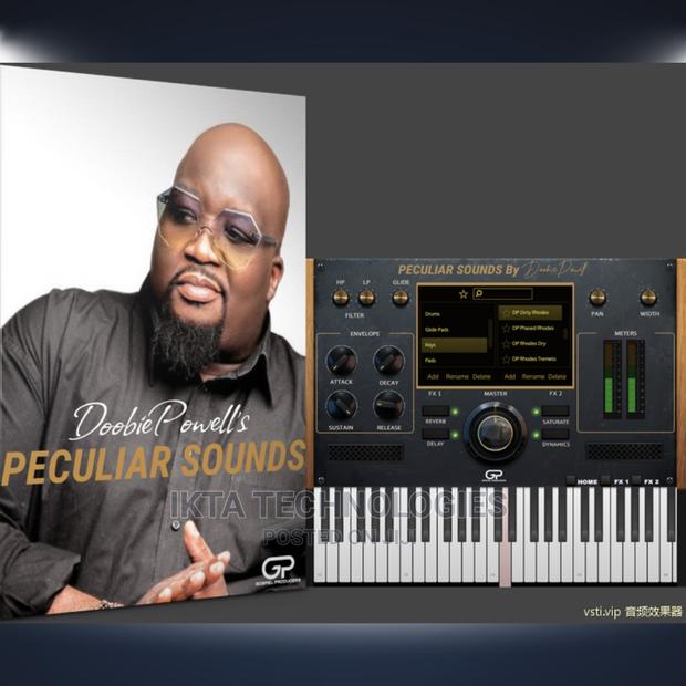 Doobie Powell's Peculiar Sounds | a VST Instrument Plugin · Photo 4