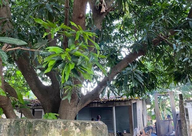 10bdrm House in Dzorwulu for Sale · Photo 3