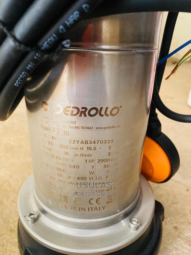 Pedrollo Sewage Pump · Photo 4